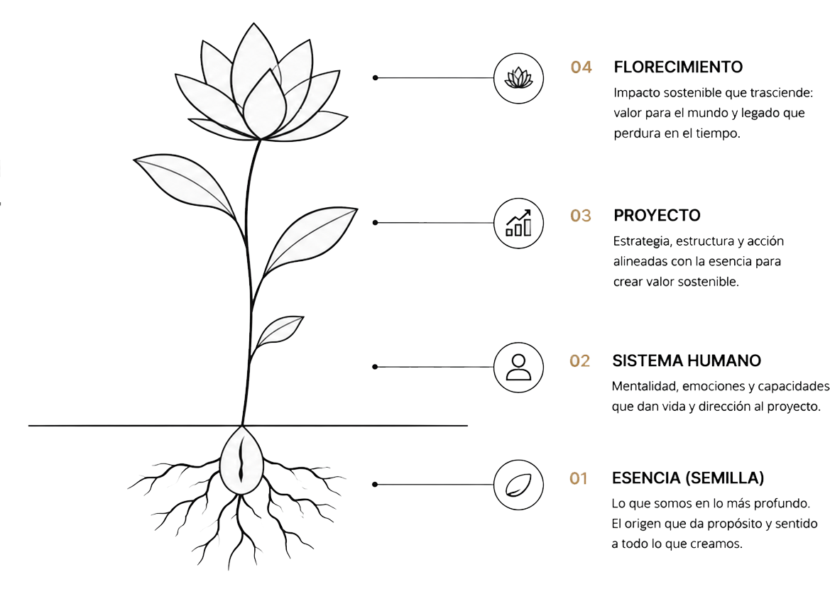 Las 4 etapas del florecimiento: Esencia (semilla), Sistema Humano, Proyecto, Florecimiento
